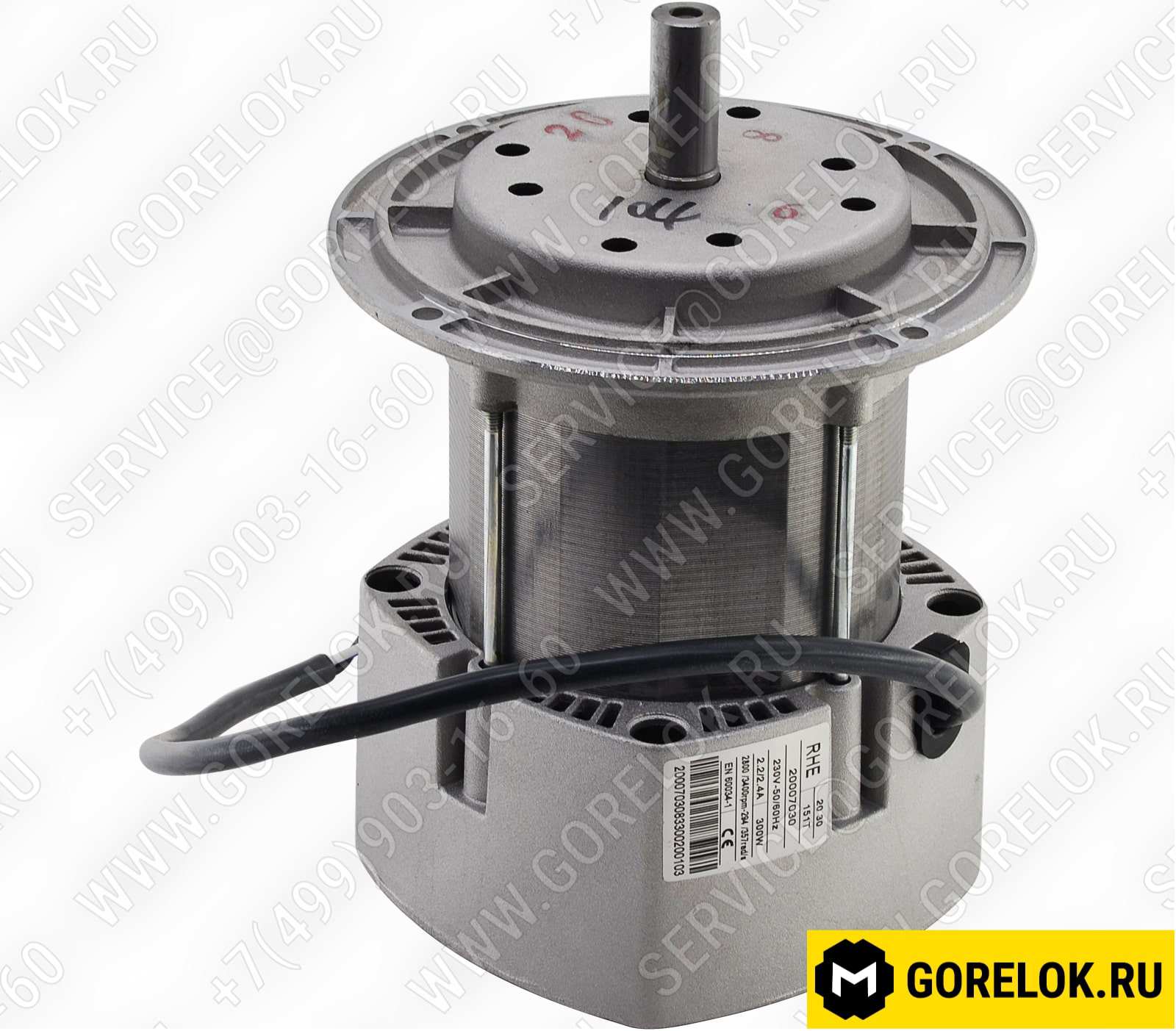 3013490 Электродвигатель RBL 151T 300W RIELLO