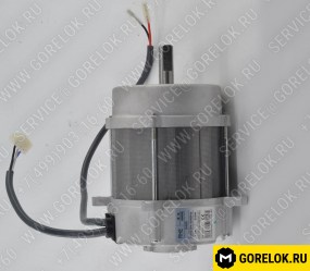 3008506 Электродвигатель RHE 250 Вт (606SE) RIELLO