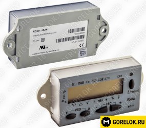 3013926 RDI21.10A9 Экран (ЖК Дисплей) SIEMENS : 3013926-RL RIELLO