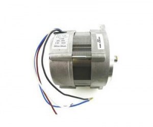 Электродвигатель RHE 450 Вт (RH S 110) 3003772-RL : 3003772-RL